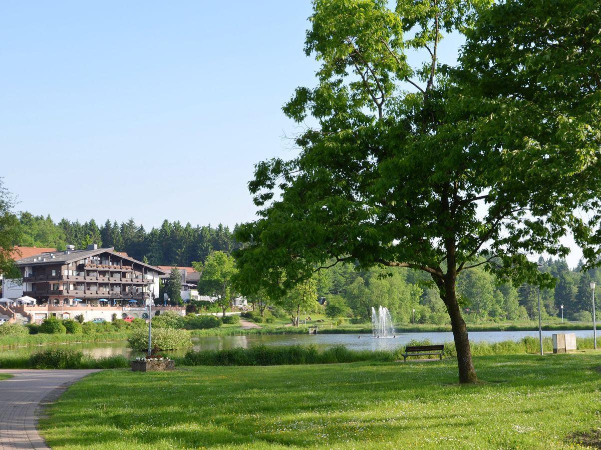Bocksbergblick Fewo Auszeit Goslar Zewnętrze zdjęcie