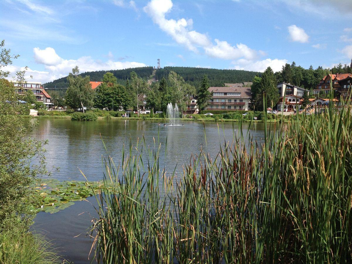 Bocksbergblick Fewo Auszeit Goslar Zewnętrze zdjęcie